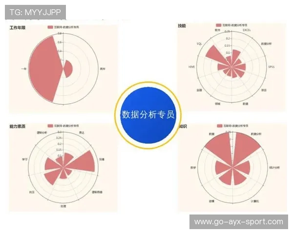 球队数据分析师职业路径与晋升规范建议,球员数据分析
